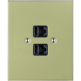 KATY PATY PORCELAIN PLATE DOUBLE PC/ USB WALL SOCKET MOSS GREEN - DYKE & DEAN