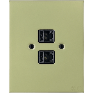 KATY PATY PORCELAIN PLATE DOUBLE PC/ USB WALL SOCKET MOSS GREEN - DYKE & DEAN