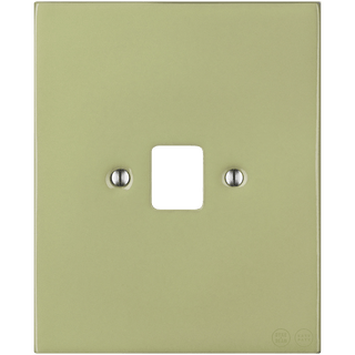 KATY PATY PORCELAIN PLATE PC/ USB WALL SOCKET MOSS GREEN - DYKE & DEAN