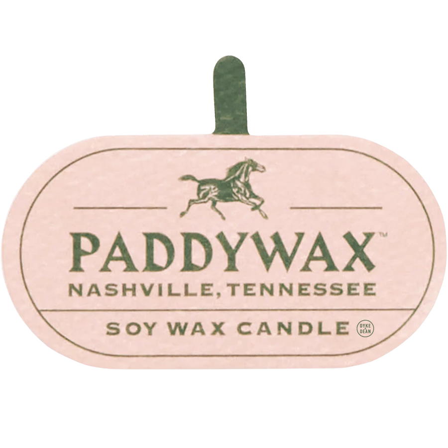 PADDYWAX VISTA LARGE GREEN GLASS CANDLE CACTUS FLOWER & ALOE - DYKE & DEAN