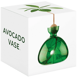 AVOCADO VASE - DYKE & DEAN