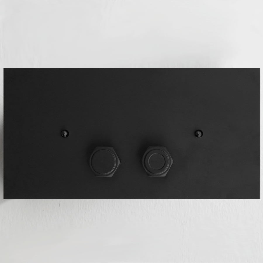 INDUSTRIALIS TOILET FLUSH PLATE - DYKE & DEAN